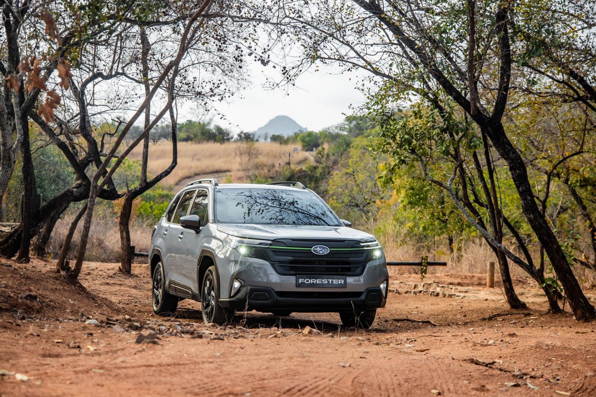 Subaru Introduces a Bold New Forester for 2025