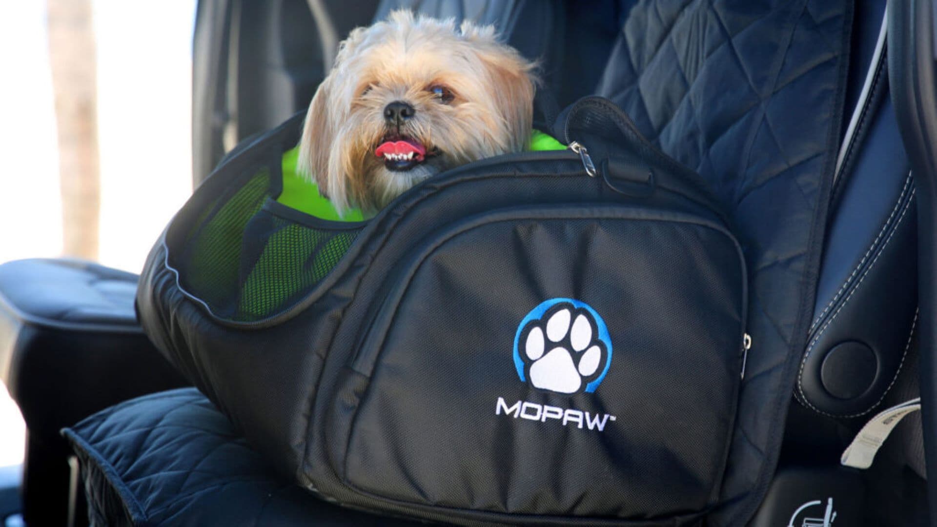 Stellantis extends Mopar brand into pet travel accessories for US drivers